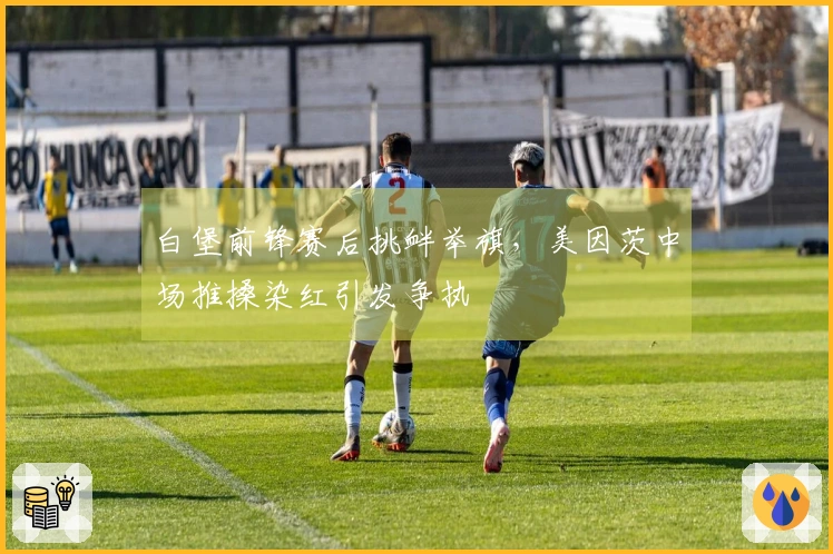 白堡前锋赛后挑衅举旗，美因茨中场推搡染红引发争执