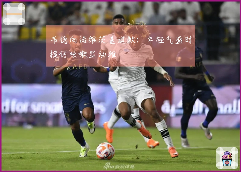 韦德向诺维茨基道歉：年轻气盛时模仿咳嗽显幼稚